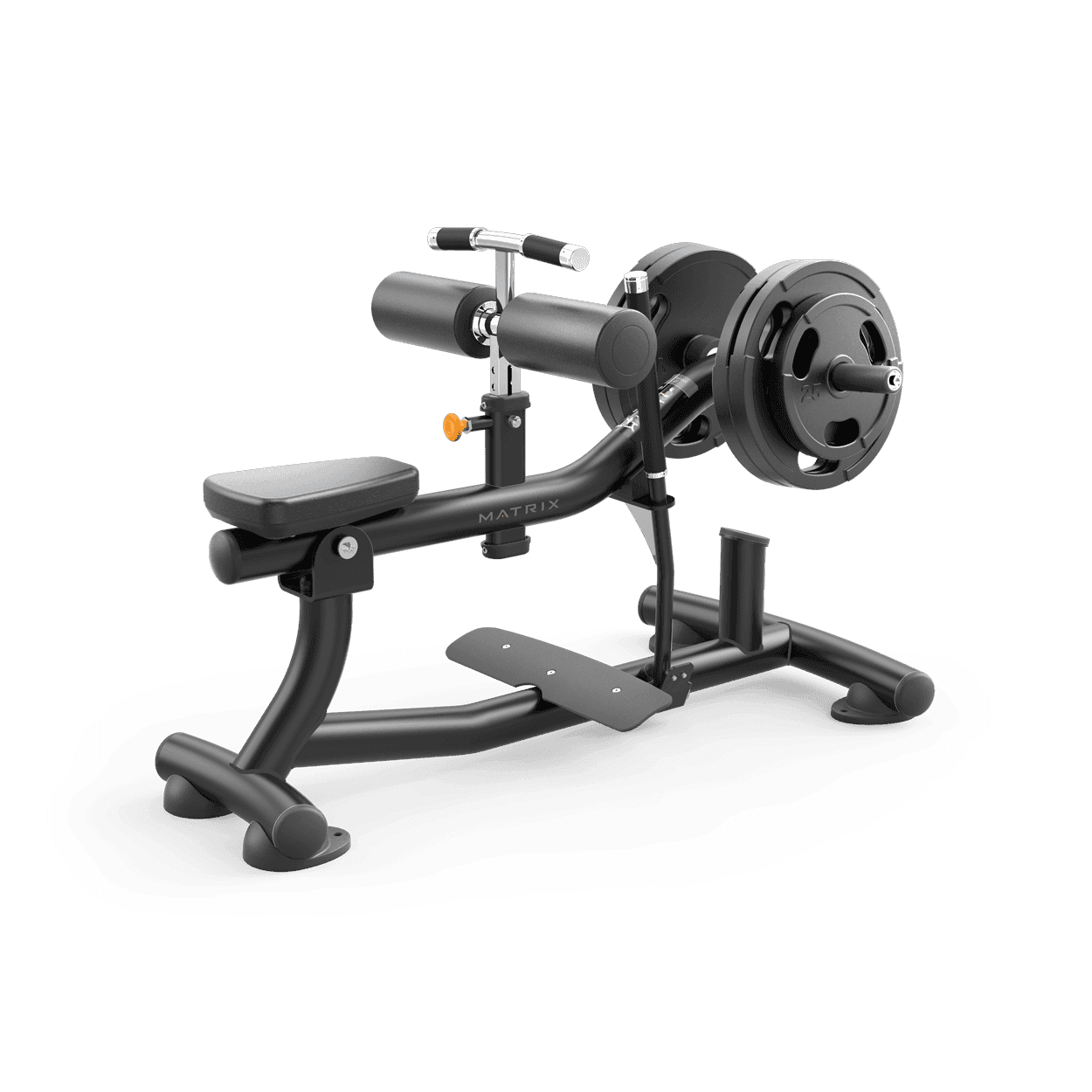 Seated Calf